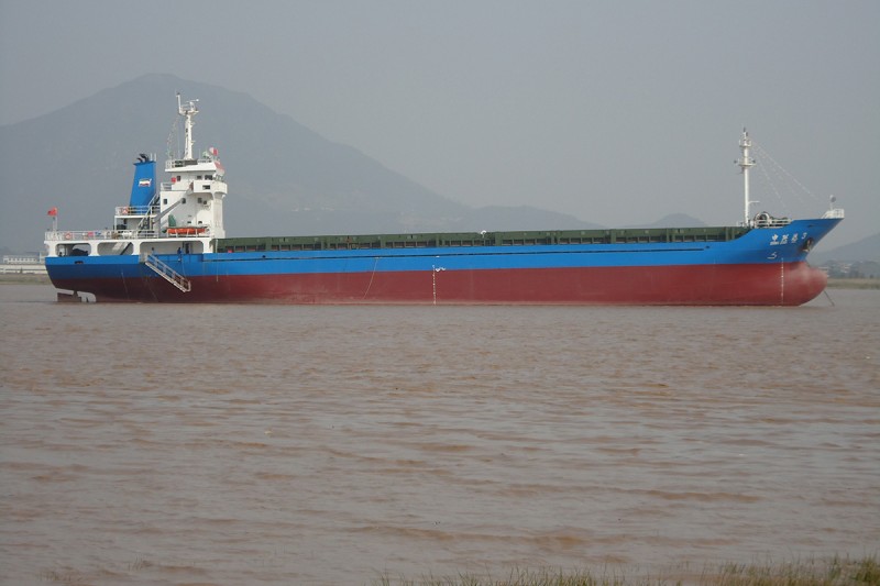 4500DWT Multipurpose Container Ship