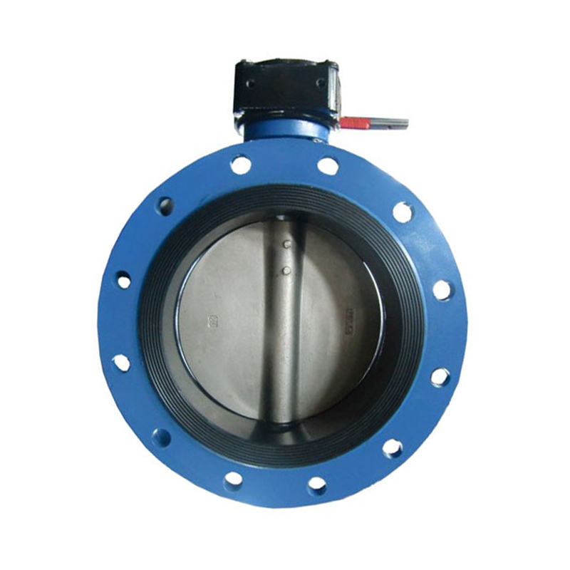 Marine Flange Type Butterfly Valve With Wheel JIS