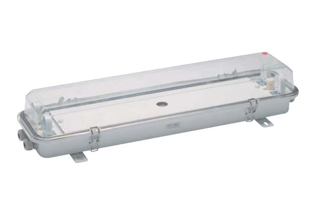 ZYC22-32-42 Fluorescent Pendant Light