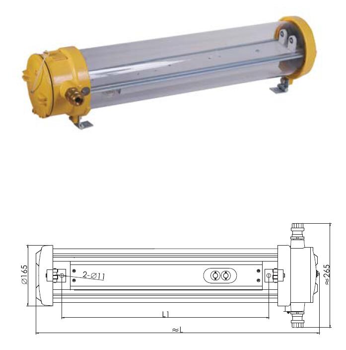 Explosion-proof Light CFY20