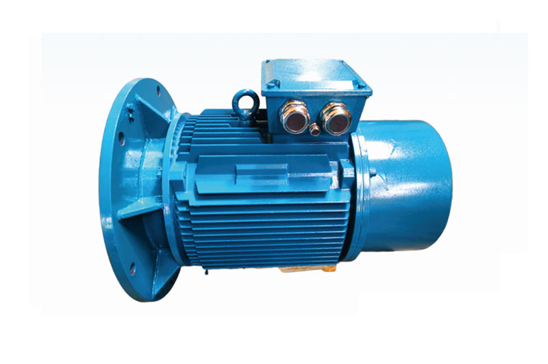 Y-H Series Marine Three-phase Asynchronous Motor