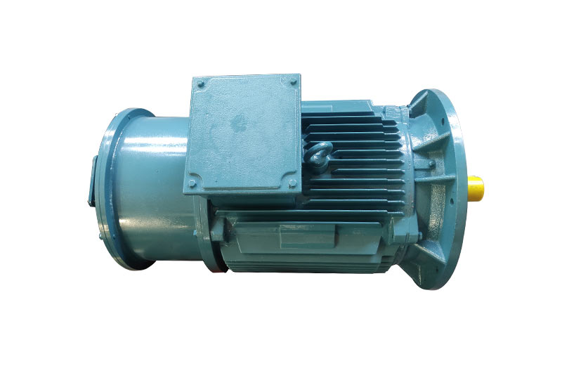 Windlass Motor YZ