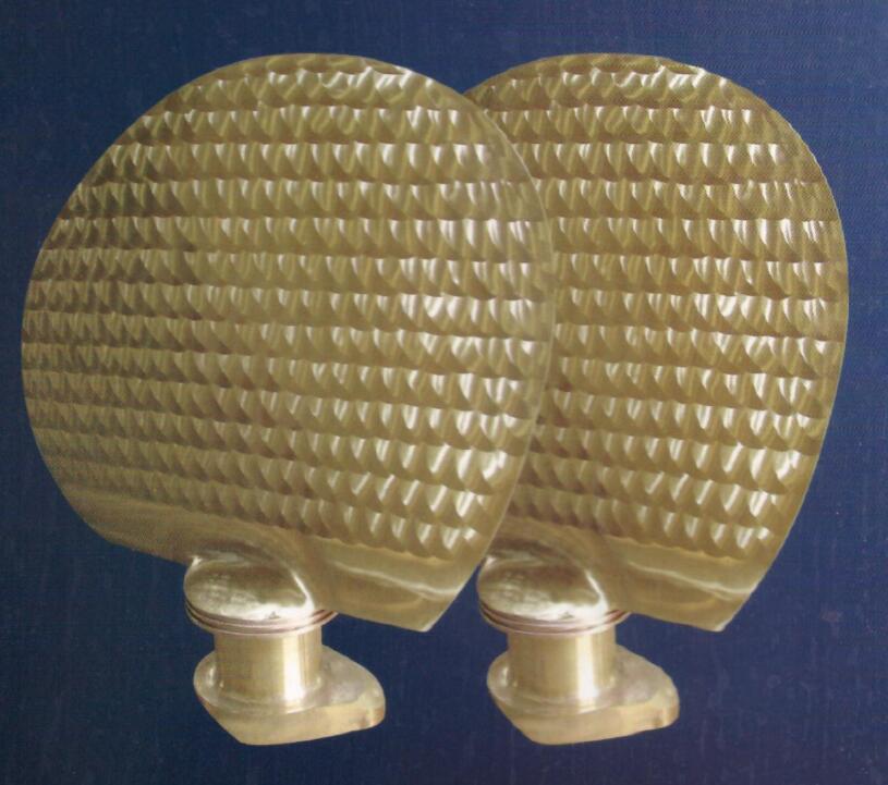 Controllable Pitch Propeller