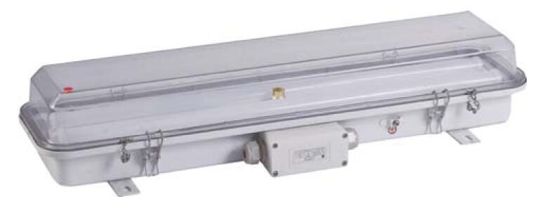 LED Pendant Light ZYC23-2LED