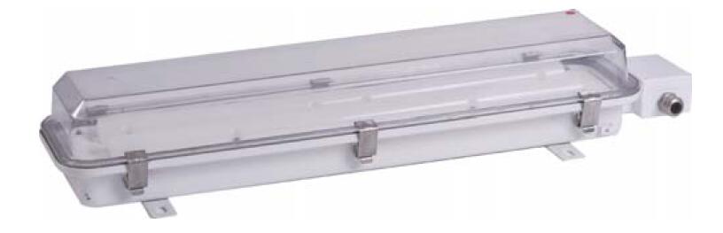 LED Pendant Light ZYC27-2LED